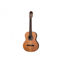 Kremona F65C Fiesta Soloist Series 