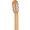 Kremona R65S-4/4 Rondo Soloist Series