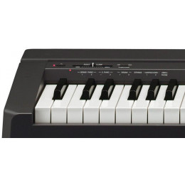 Yamaha P-45