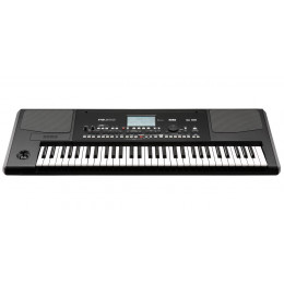 Korg Pa300