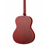 Акустическая гитара Naranda CAG280RDS