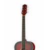 Акустическая гитара Naranda CAG280RDS