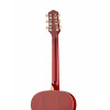 Акустическая гитара Naranda CAG240RDS