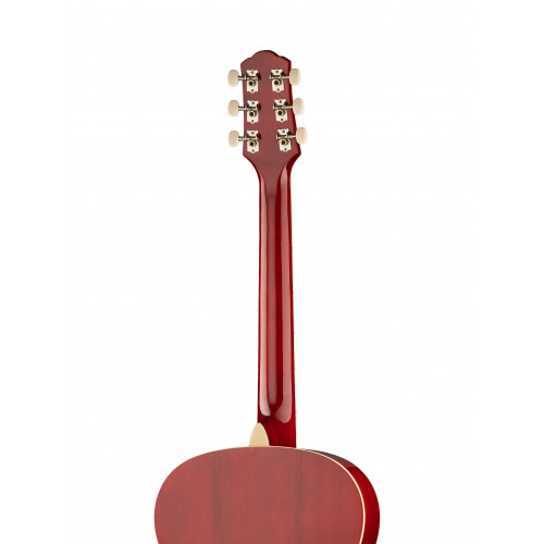 Акустическая гитара Naranda CAG240RDS