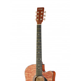 Homage LF-3800CT-N