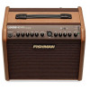 Fishman PRO-LBC-EU5 Loudbox Mini Charge