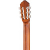 Cort AC100-SG