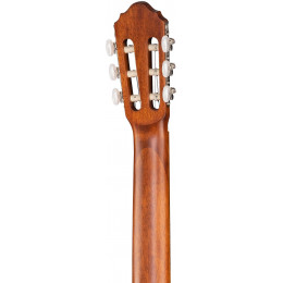 Cort AC100-SG