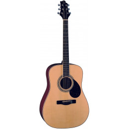 GregBennett GD101S/N