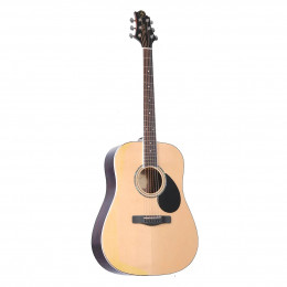 GregBennett GD100RS/N