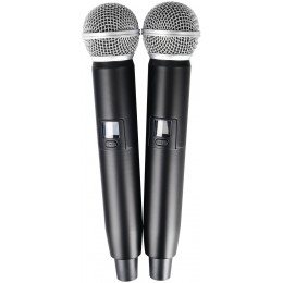 LAudio LS-P3-2M