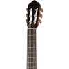 Cort AC200-NAT