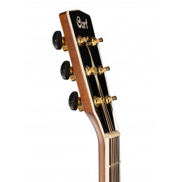 Cort SFX10-ABR