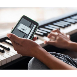 Roland FP-10-BK