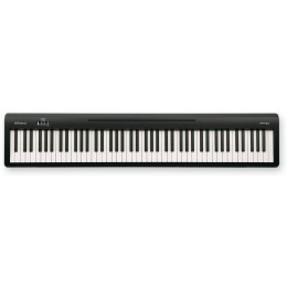 Roland FP-10-BK