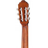 Cort AC50-OP