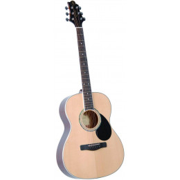 Greg Bennett GA100S/N