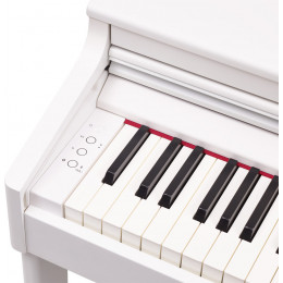 Roland RP701-WH