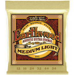 Ernie Ball P02003 Earthwood 80/20 Bronze 12-54