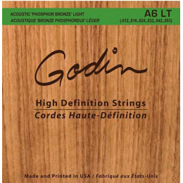 Godin 008995 A6 LT