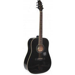 GregBennett GD100S/BK