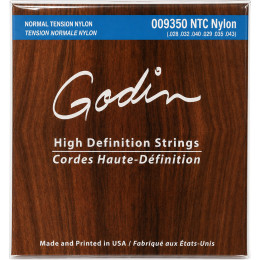 Godin 009350 NTC Nylon
