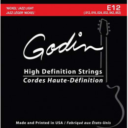 Godin 033416 E-12