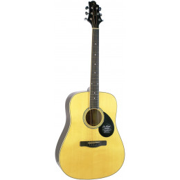 GREG BENNETT GD100S/N