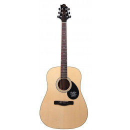GREG BENNETT GD-200S/N