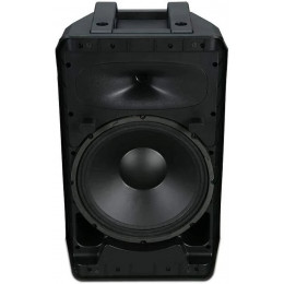 Wharfedale Pro TYPHON-AX12-BT