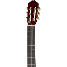 CARAYA C955-N