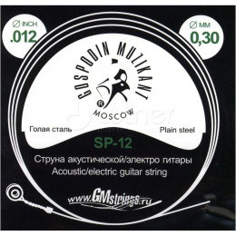 Господин Музыкант SP-12