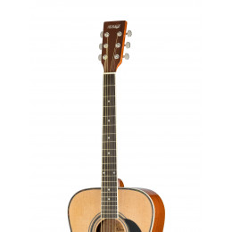 Homage LF-4123-N