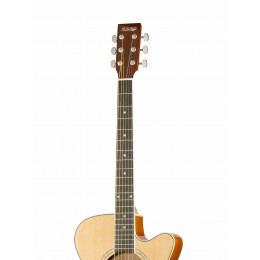 Homage LF-401C-N
