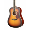 Акустическая гитара Naranda DG220VS