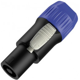ECO RP031