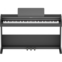 Roland RP107