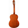 Cort AC100-OP