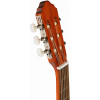 Cort AC100-OP