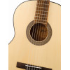 Cort AC100-OP