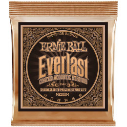 Ernie Ball P02544 Everlast Coated Phosphor Bronze 13-56