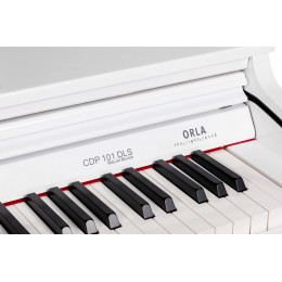 Orla CDP-101-DLS