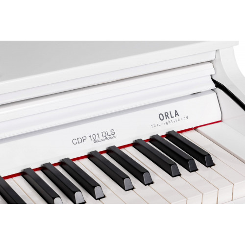 Orla CDP-101-DLS