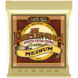 Ernie Ball P02002 Earthwood 80/20 Bronze 13-56