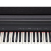 Roland RP-30