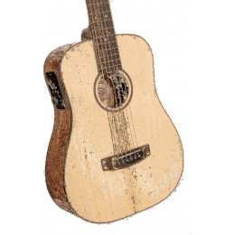 Cort Earth-GO-OPBB-wbag