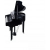 Medeli GRAND510(GB)
