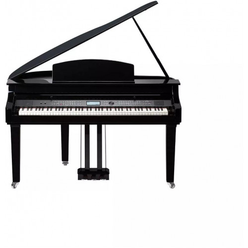 Medeli GRAND510(GB)