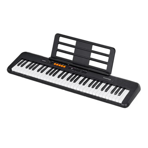 Casio CT-S100