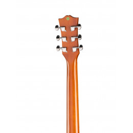 Caraya F565C-N